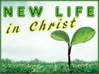 New Life in Christ