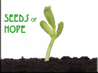 Seeds of Hope