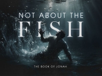 Not about the fish